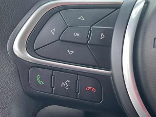 FIAT 500X usata, con Park Distance Control