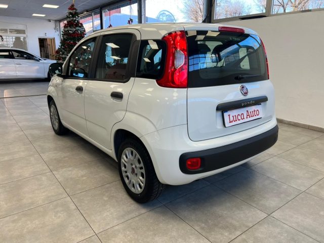 FIAT Panda usata, con Climatizzatore
