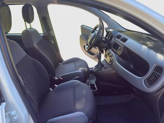 FIAT Panda usata 14