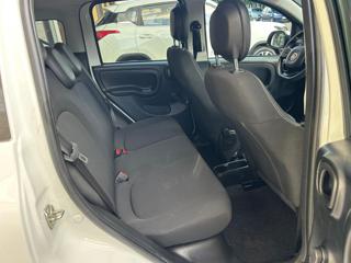 FIAT Panda Cross usata 9