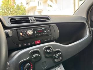 FIAT Panda usata, con Airbag testa