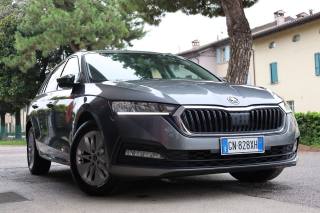 SKODA Octavia usata 156