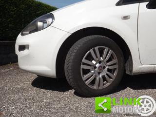FIAT Punto usata 31