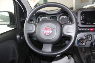 FIAT Panda usata, con Servosterzo