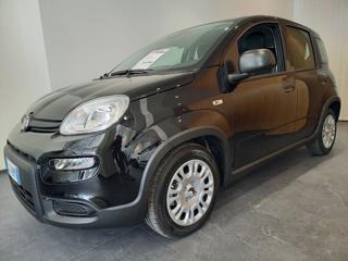 FIAT Panda usata, con Airbag Passeggero