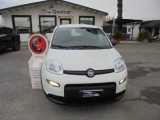 FIAT Panda usata, con Airbag Passeggero