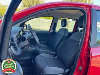 FIAT Panda usata, con Alzacristalli elettrici