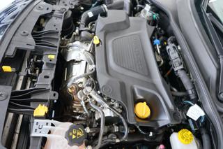 FIAT Tipo usata 55