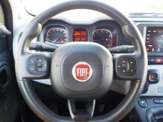 FIAT Panda usata, con Portapacchi