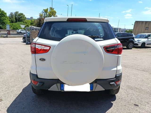 FORD EcoSport usata 6