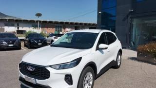 FORD Kuga usata, con Sedile posteriore sdoppiato