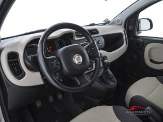 FIAT Panda usata 7