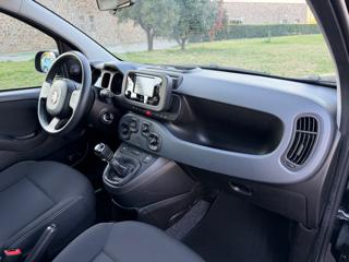 FIAT Panda usata, con Servosterzo