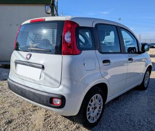 FIAT Panda usata, con Alzacristalli elettrici