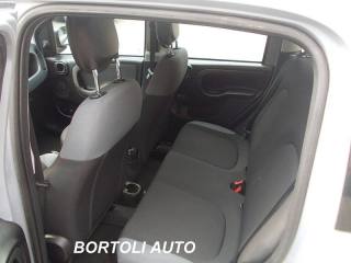 FIAT Panda usata, con Controllo trazione