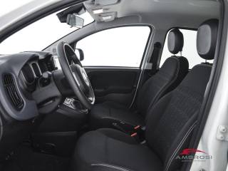 FIAT Panda usata 8