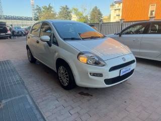 FIAT Punto 1.2 8V 5 porte Lounge
