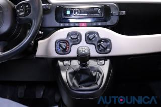 FIAT Panda usata 37
