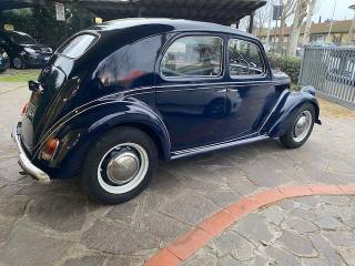 LANCIA Ardea usata 1