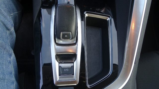 PEUGEOT 3008 usata 120