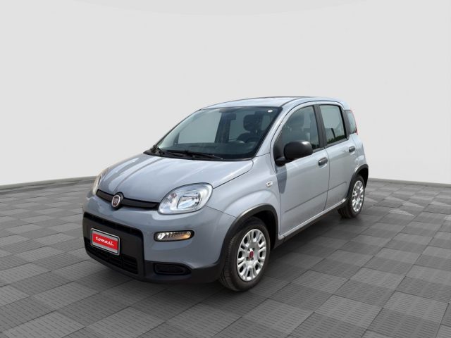 FIAT Panda usata 0
