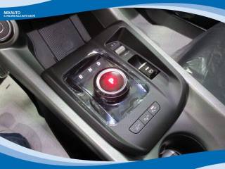 ALFA ROMEO Tonale usata, con Chiusura centralizzata