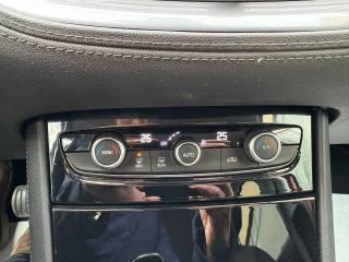 OPEL Grandland X usata, con Cruise Control