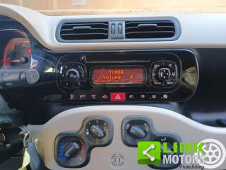 FIAT Panda usata 19