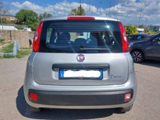 FIAT Panda usata, con Controllo trazione
