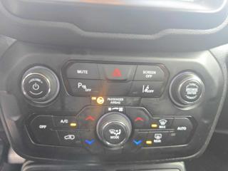 JEEP Renegade usata, con Cruise Control