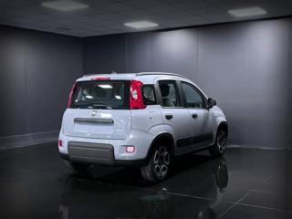 FIAT Panda usata, con Antifurto