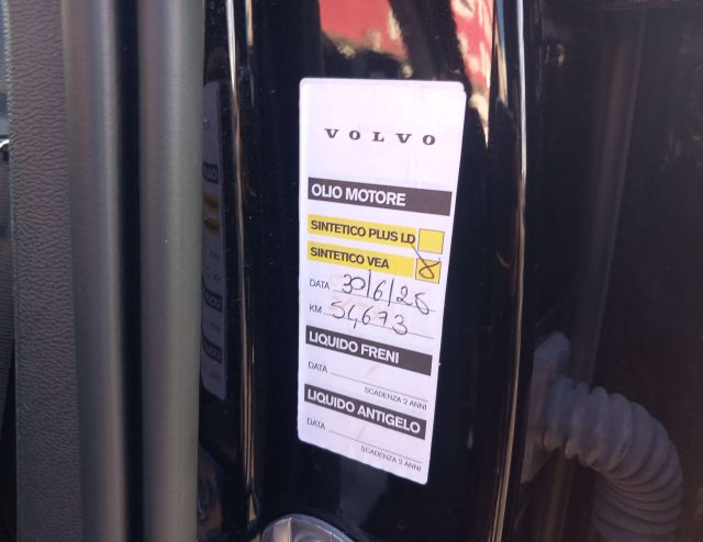 VOLVO XC40 usata, con Fendinebbia