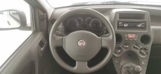 FIAT Panda usata 33