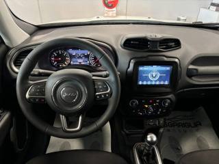 JEEP Renegade usata, con Climatizzatore