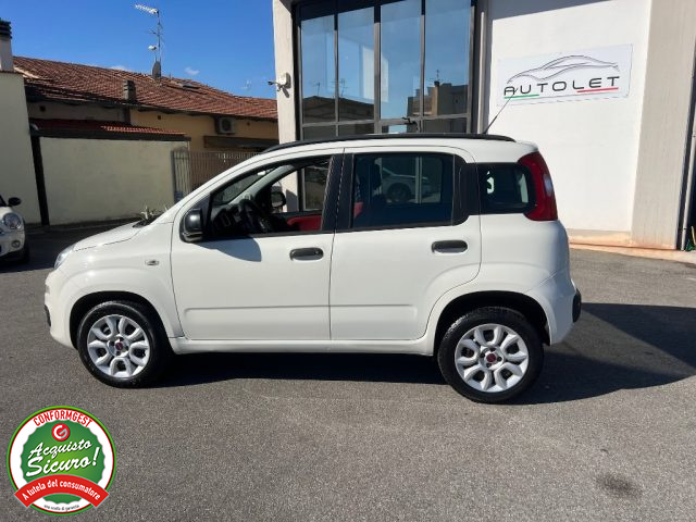 FIAT Panda usata, con Fendinebbia
