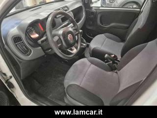 FIAT Panda usata 16
