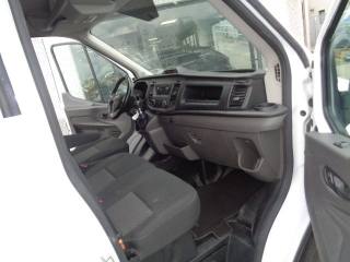FORD Transit usata, con Vivavoce