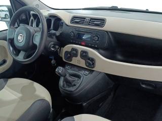 FIAT Panda usata, con Airbag testa