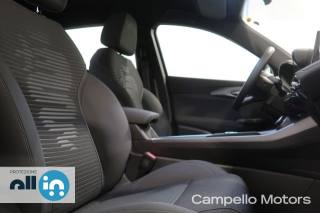 ALFA ROMEO Tonale usata 12