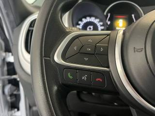 FIAT 500L usata 14