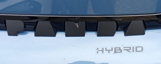 FIAT Grande Panda usata, con ESP