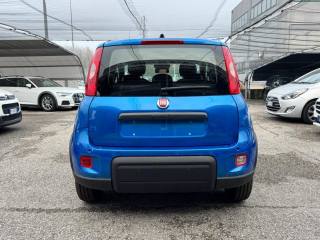FIAT Panda usata, con Chiusura centralizzata