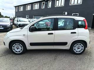 FIAT Panda usata 4