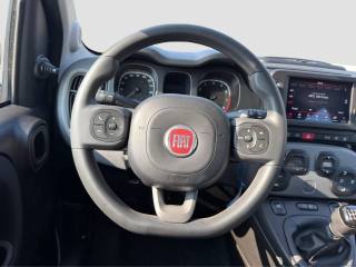 FIAT Panda usata 12