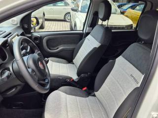 FIAT Panda Cross usata, con Controllo trazione