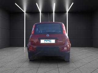 FIAT Panda usata, con Alzacristalli elettrici
