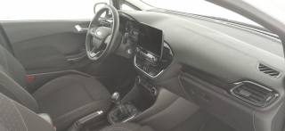 FORD Fiesta usata 41