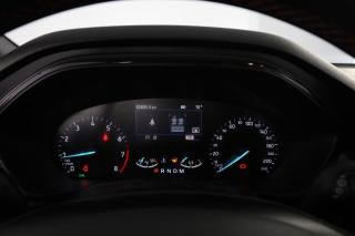 FORD Focus usata 6