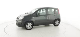 FIAT Panda usata 23