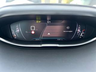 PEUGEOT 3008 usata, con Bracciolo